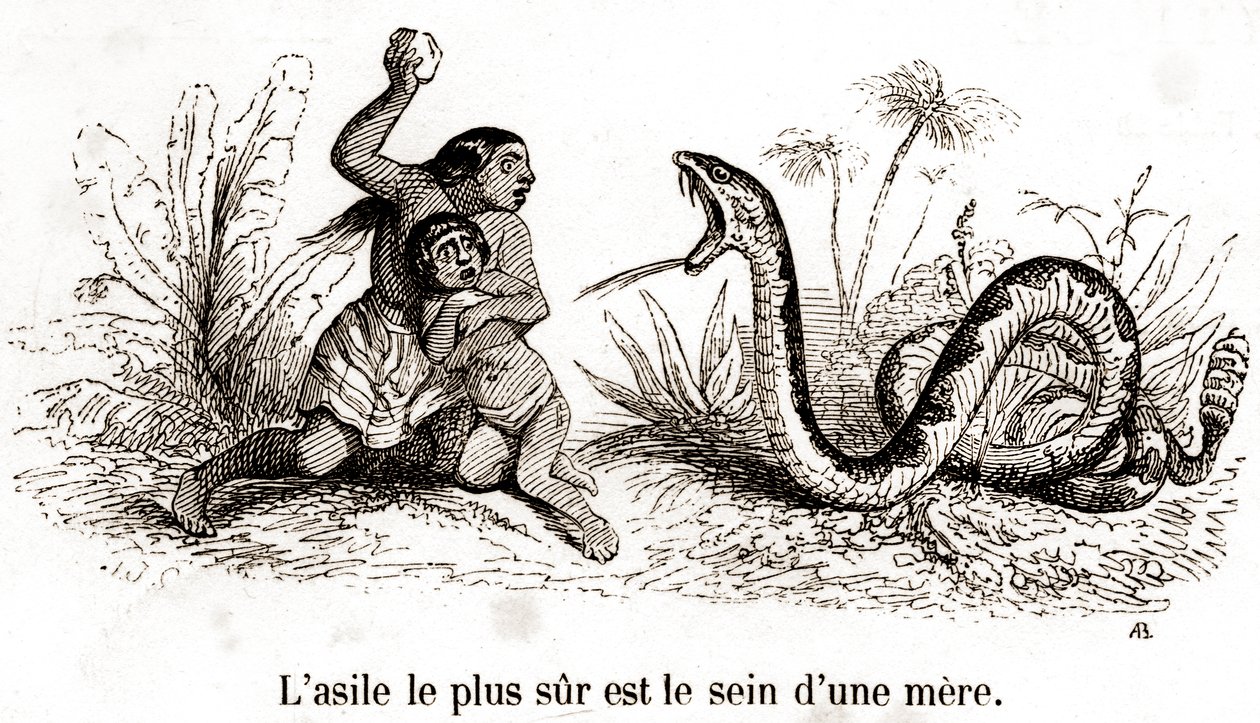 O asilo mais seguro é o peito de uma mãe de Grandville (1803 47)