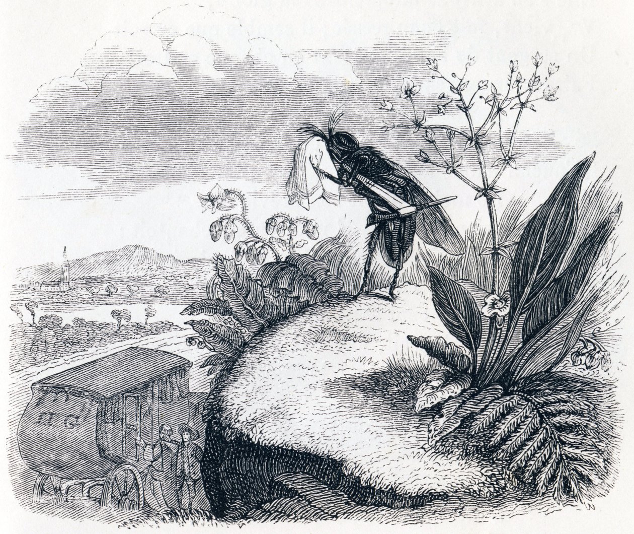 A carraça e a mosca - Fábulas de La Fontaine de Grandville