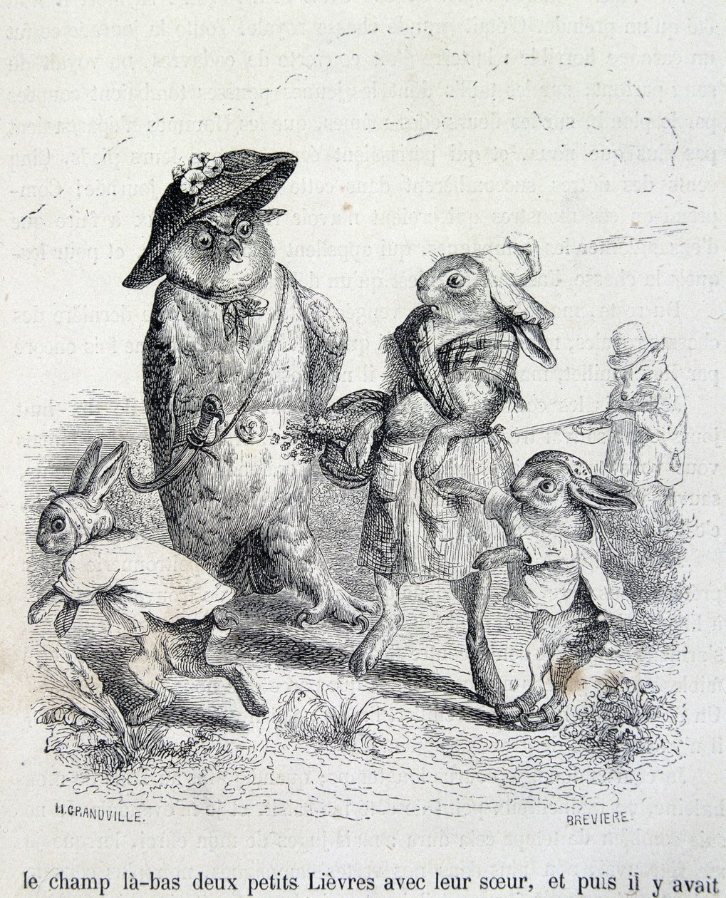 As duas lebrinhas, sua irmã e a coruja - por Grandville de Grandville