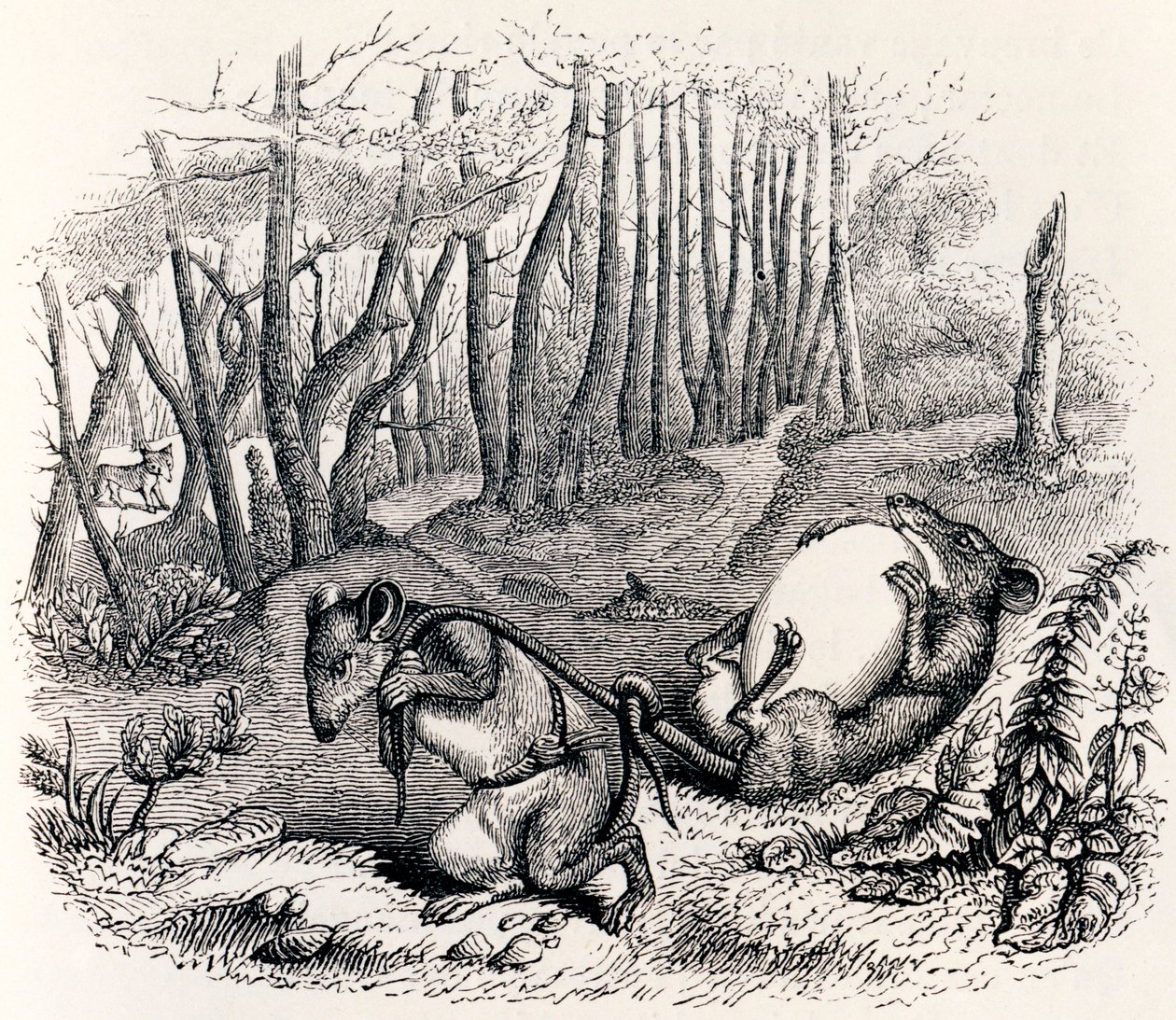 Os dois ratos, a raposa e o ovo (Les deux rats, le renard et l