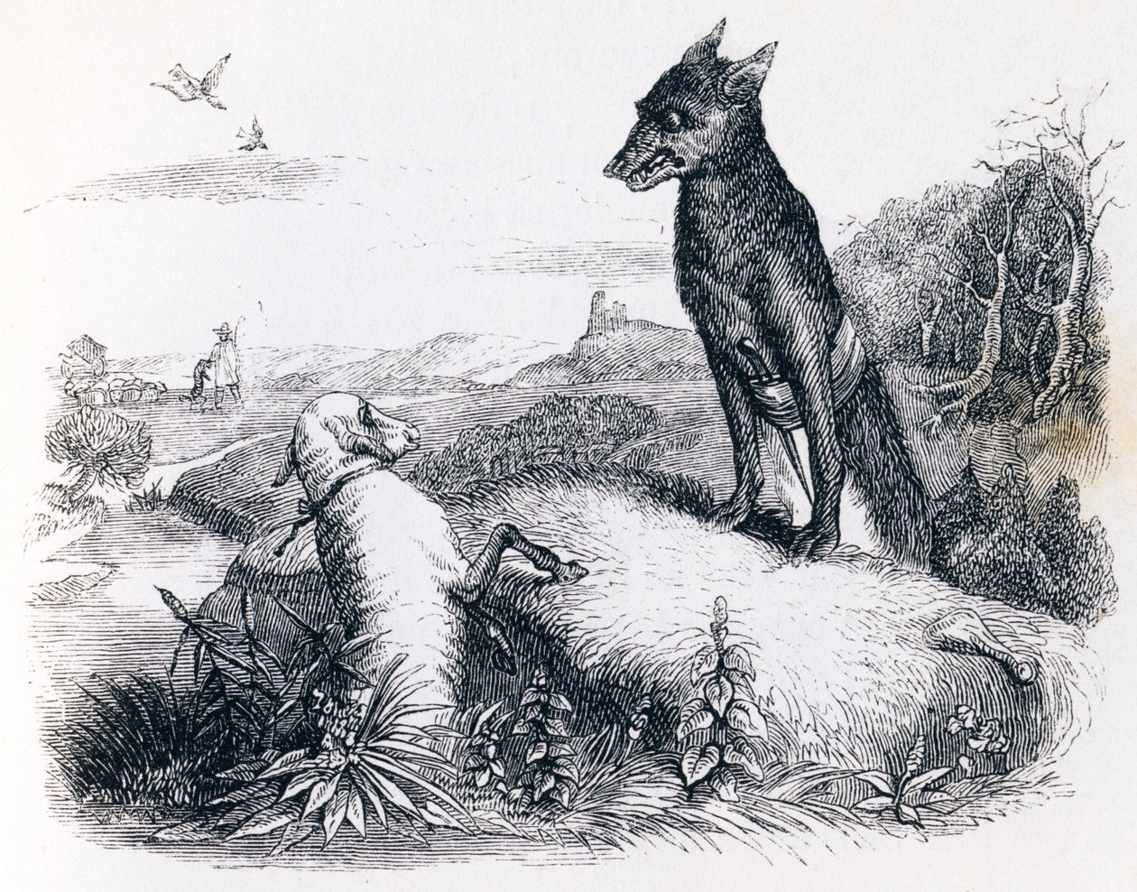 O lobo e o cordeiro - Fábulas de La Fontaine de Grandville