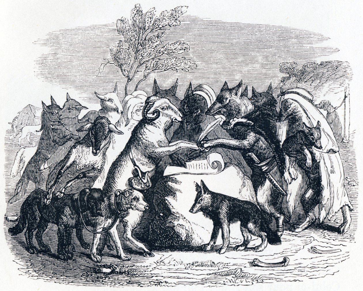 Os lobos e as ovelhas (Les loups et les brebis) - Fábulas de La Fontaine de Grandville