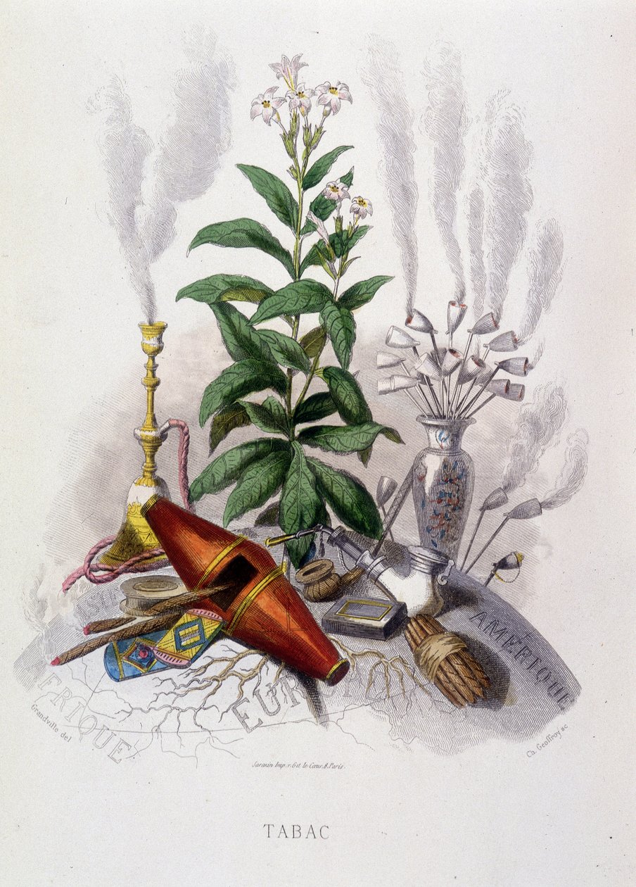 Planta do tabaco e utensílios para fumar - em "Flores animadas" de Grandville de Grandville