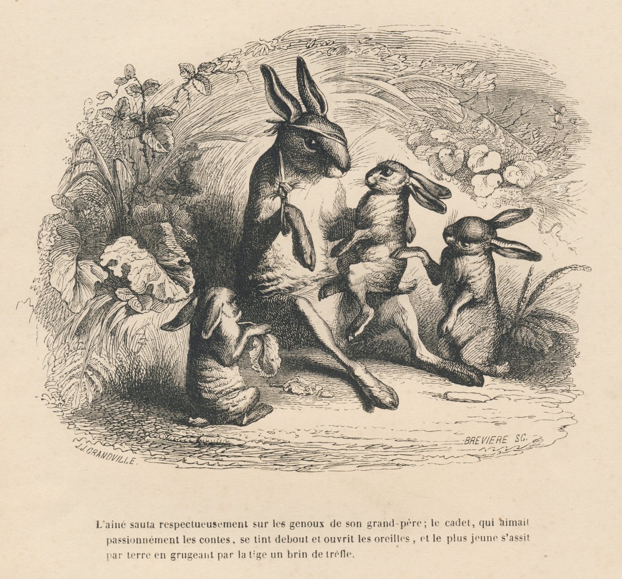 Três crianças coelhos a ouvir o seu avô ferido a contar histórias. Vinhetas ilustradas por JJ Granville. Gravura assinada Breviere na parte "Histoire d