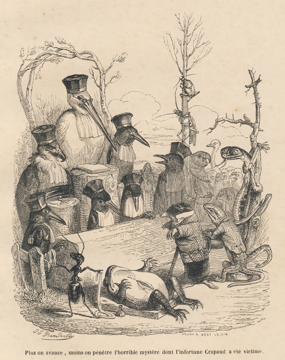 Tribunal composto por cegonhas e outras aves, uma toupeira e um lagarto para desmascarar o culpado do assassinato do sapo. Vinhetas ilustradas por JJ Granville. Gravura assinada por Andrew, Best e Leloir na parte intitulada "Cour criminelle de just de Grandville