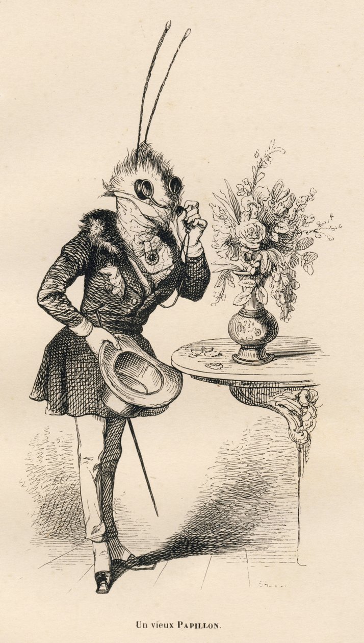 Uma velha borboleta a olhar para as horas com os seus óculos. Vinhetas ilustradas por JJ Granville. Gravura assinada Breviere na parte intitulada "Les aventures d