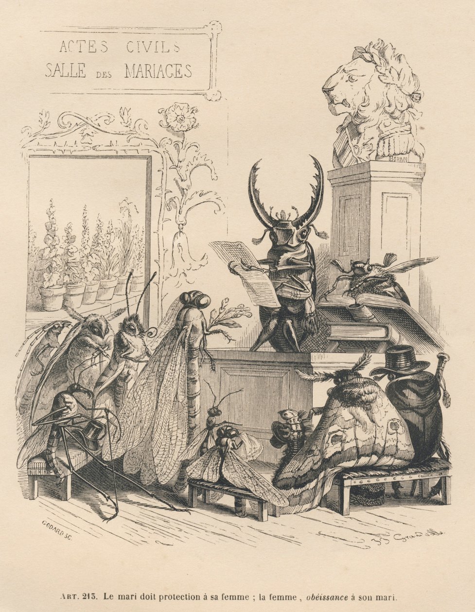 Votos de casamento de insectos. Vinhetas ilustradas por JJ Granville. Gravura assinada Godard na parte intitulada "Les aventures d