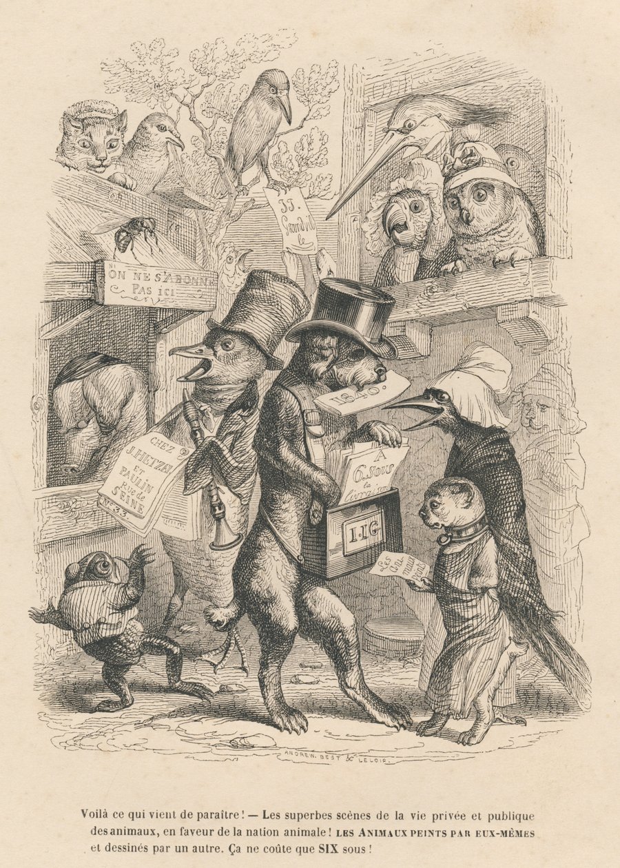 Aqui está o que acabou de sair. Gato e pássaro vendendo o presente livro por seis sous. Vinhetas ilustradas por JJ Granville . Gravura assinada por Andrew, Best e Leloir no prólogo intitulado "Resumo Parlamentar" escrito por PJ Stahl em "Scenes de la vie de Grandville