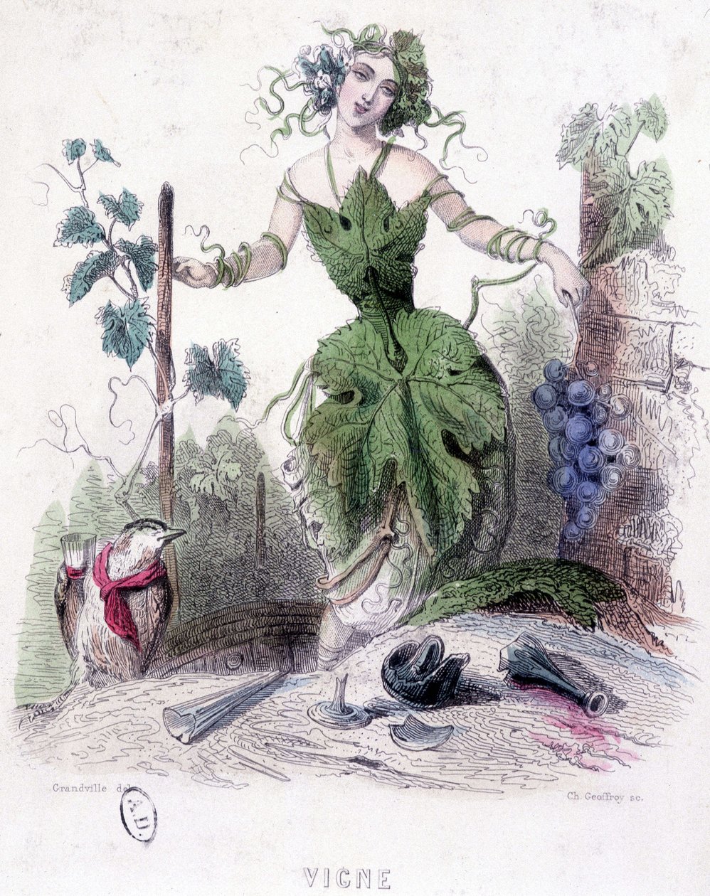 Mulher, alegoria da videira - desenho de Grandville de Grandville