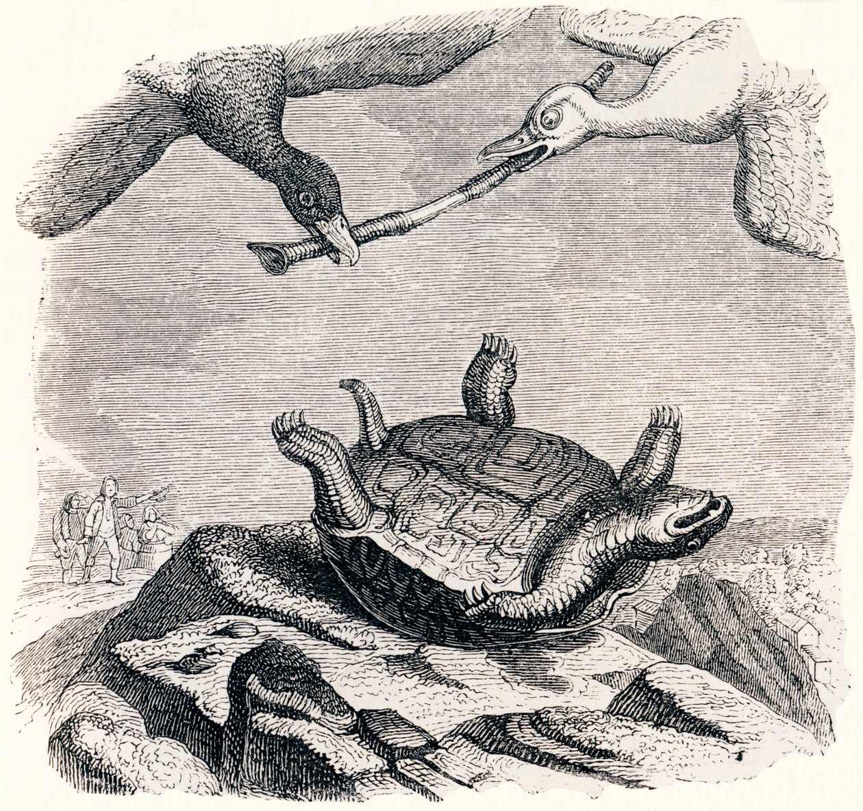 a tartaruga e os dois patos (La tortue et les deux canards) - Fábulas de La Fontaine de Grandville