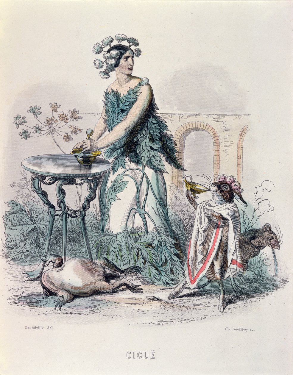 O Hemlock, de "Les Fleurs Animees", gravado por Charles Goeffroy (1819-82), 1847 (gravura a cores) de Grandville
