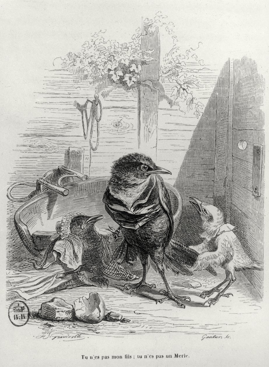 Ilustração para A história de um melro, gravada por Gautier de Grandville 1803 47 after Grandville 1803 47 after