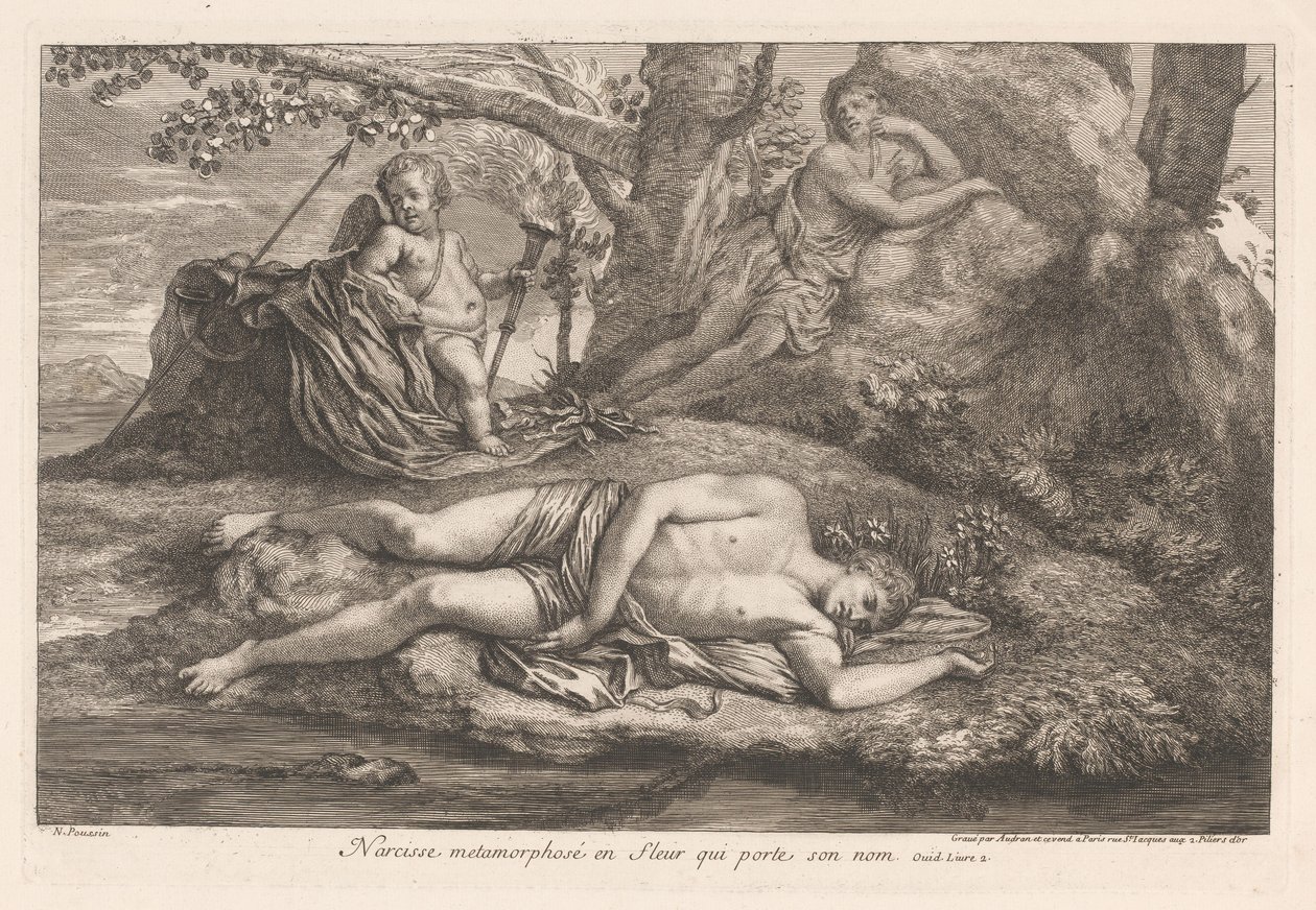 Narciso em Eco Narciso metamorfoseado em uma flor que leva seu nome (título no objeto) de Gérard Audran