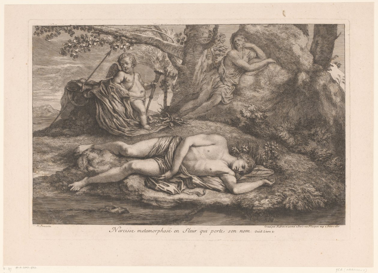 Narciso em Eco
Narciso metamorfosado na flor que leva o seu nome (título no objecto) de Gérard Audran