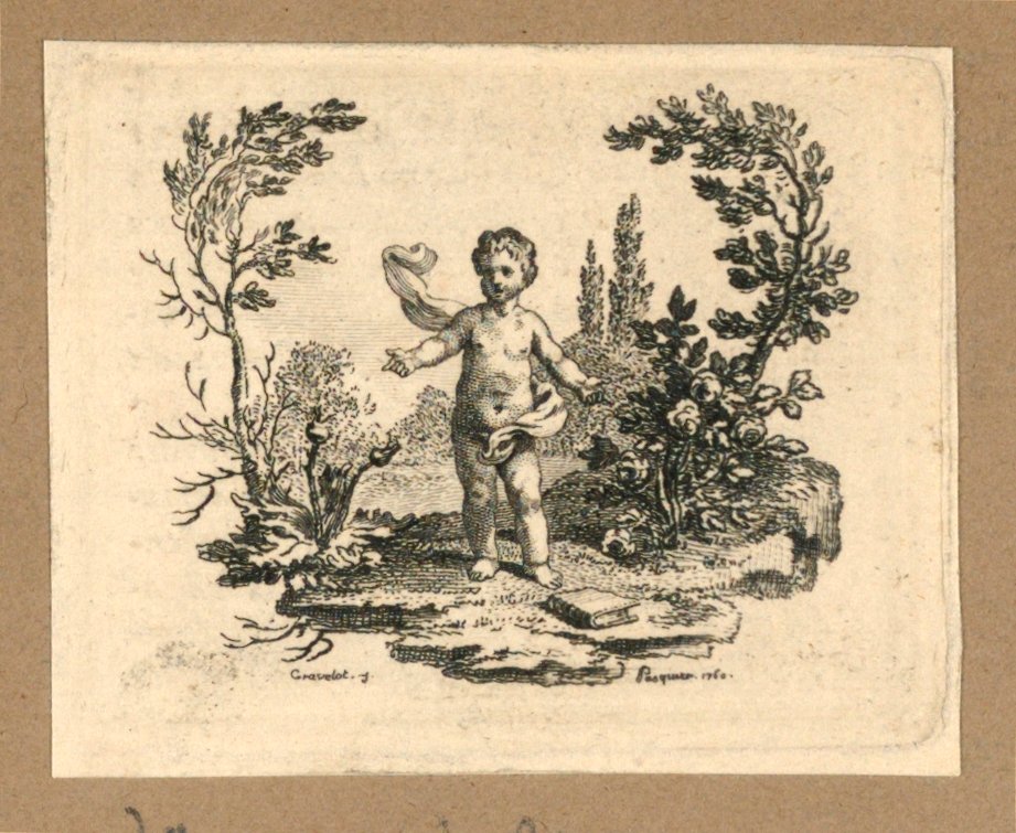 Um menino de pé entre uma planta de cardo e uma roseira de Gravelot