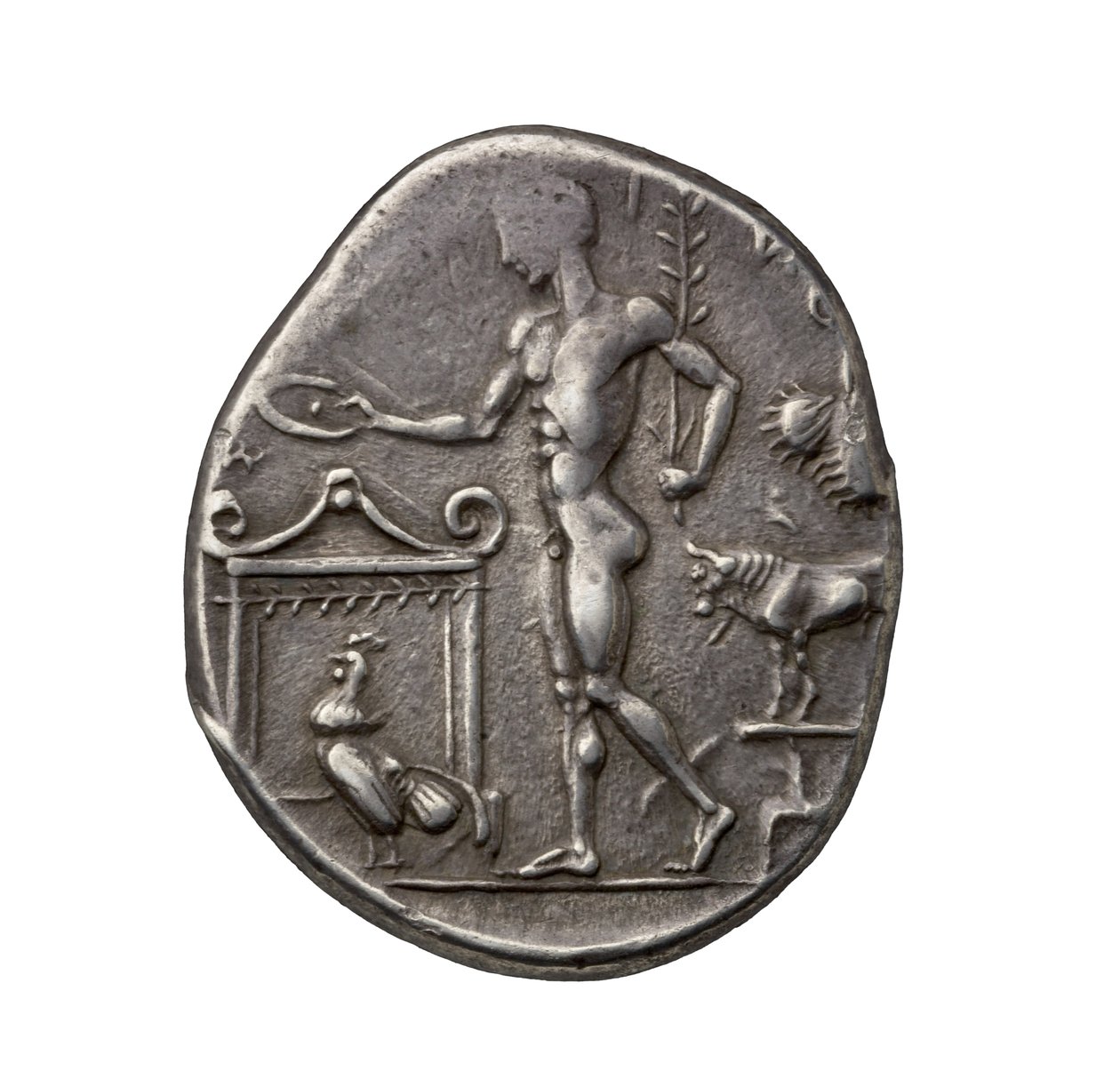 Moeda de prata grega antiga de Selinus, 450 aC (prata) de Greek