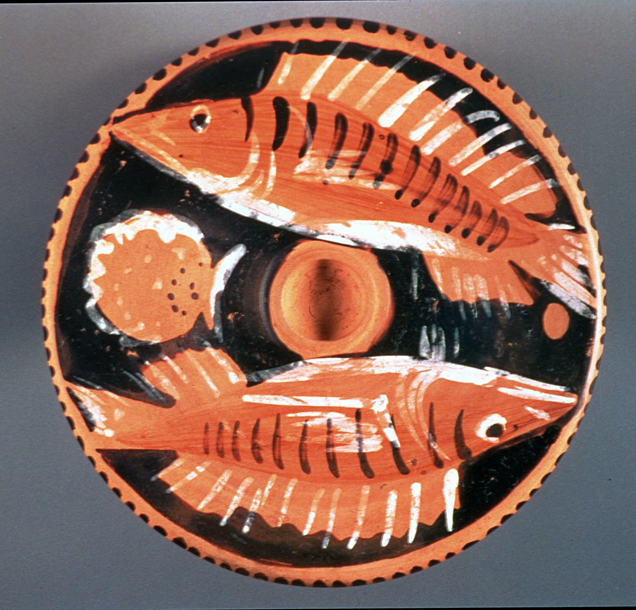Placa representando dois peixes, 350 aC (cerâmica) de Greek