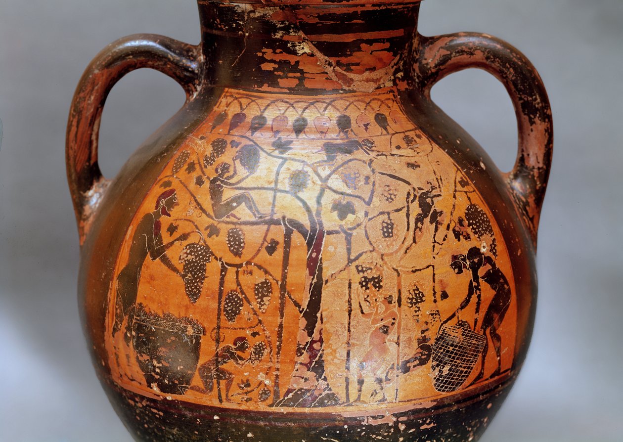 Ânfora estilo rhodian representando a colheita de uvas (cerâmica) de Greek