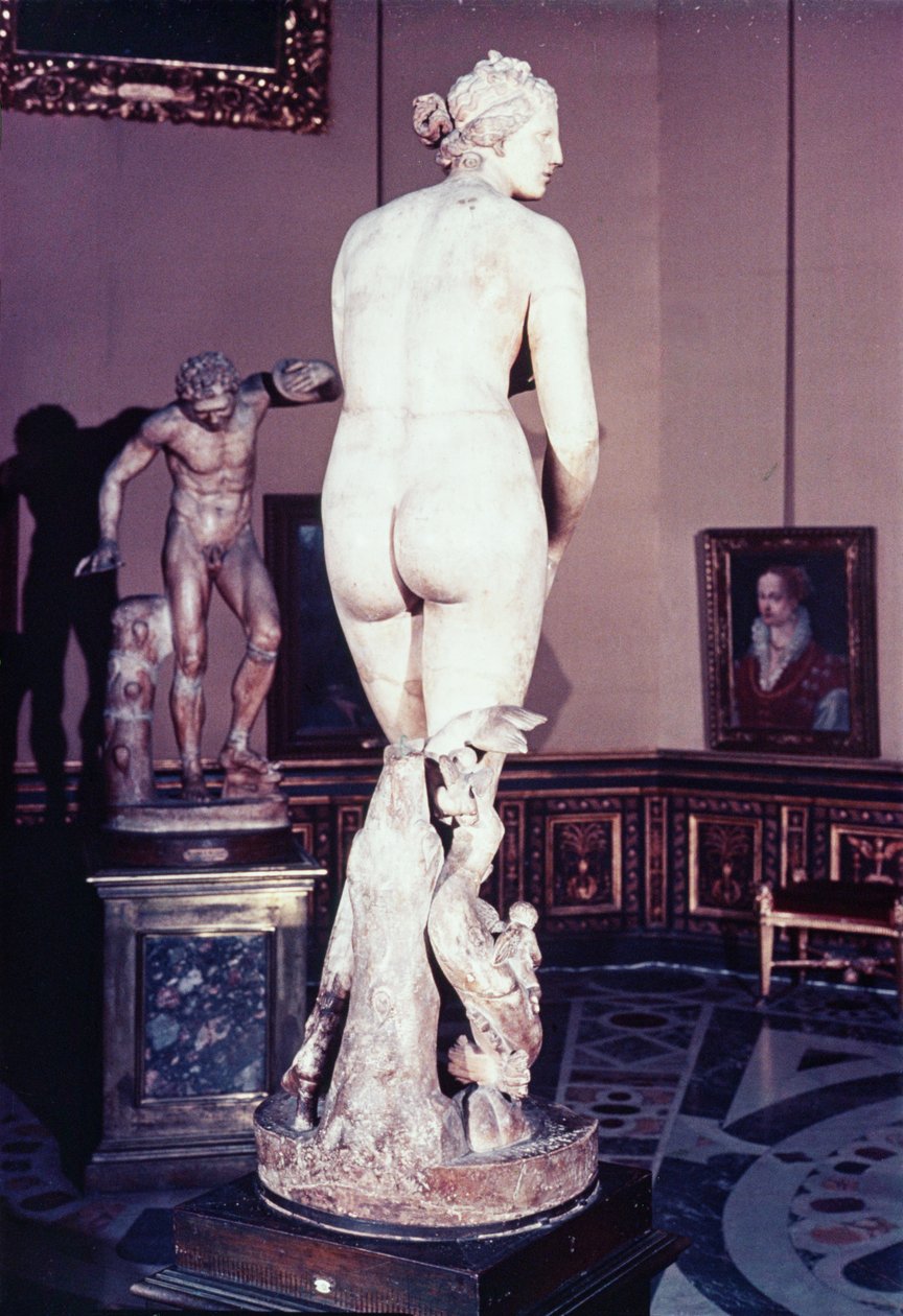 O Medici Venus, grego, início do terceiro século aC (mármore) de Greek