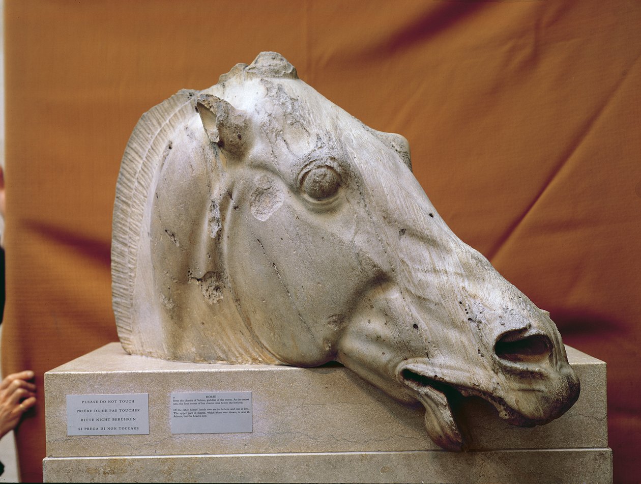 Cabeça de um cavalo de Selene de Greek