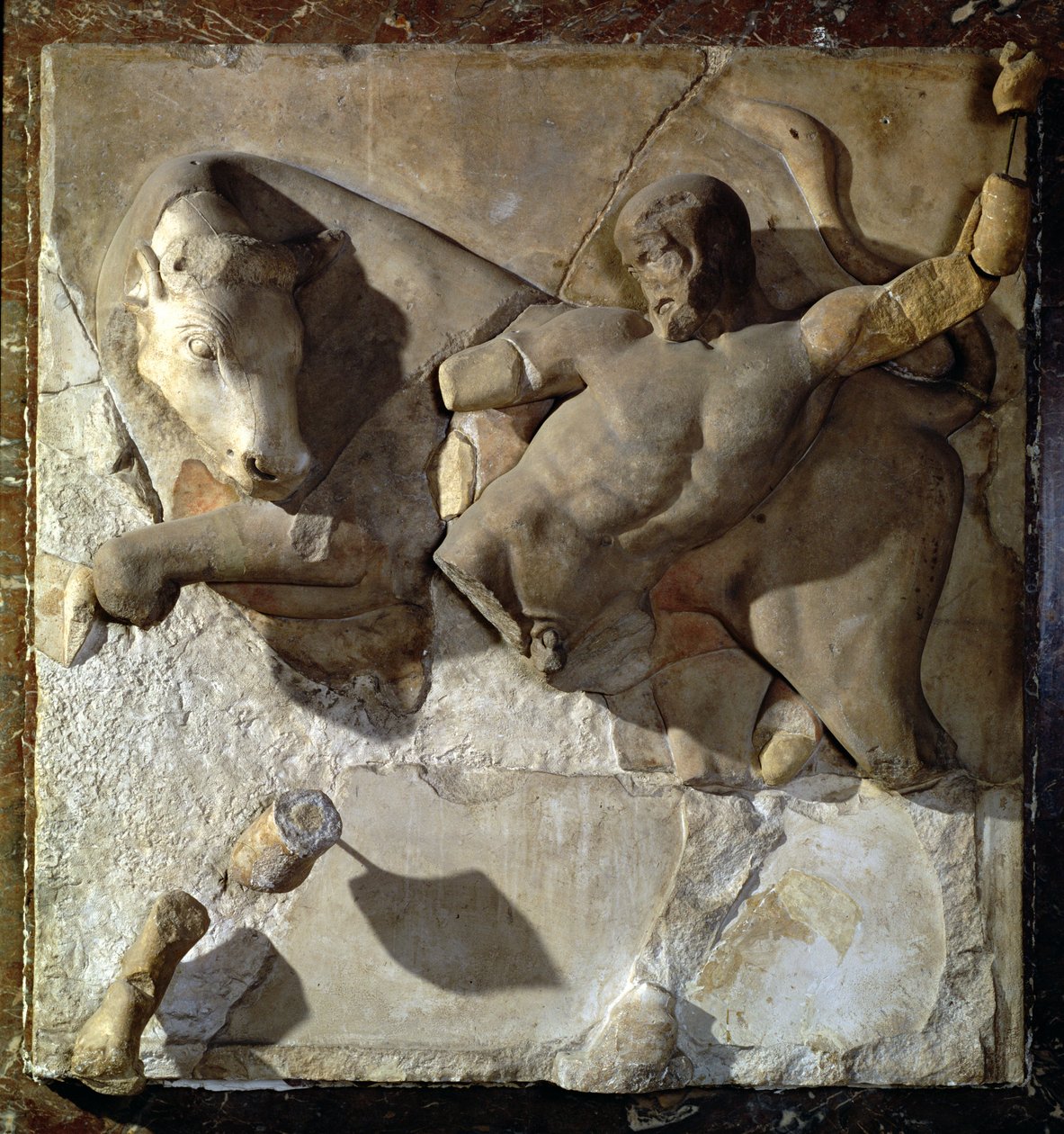 Hercules touro online