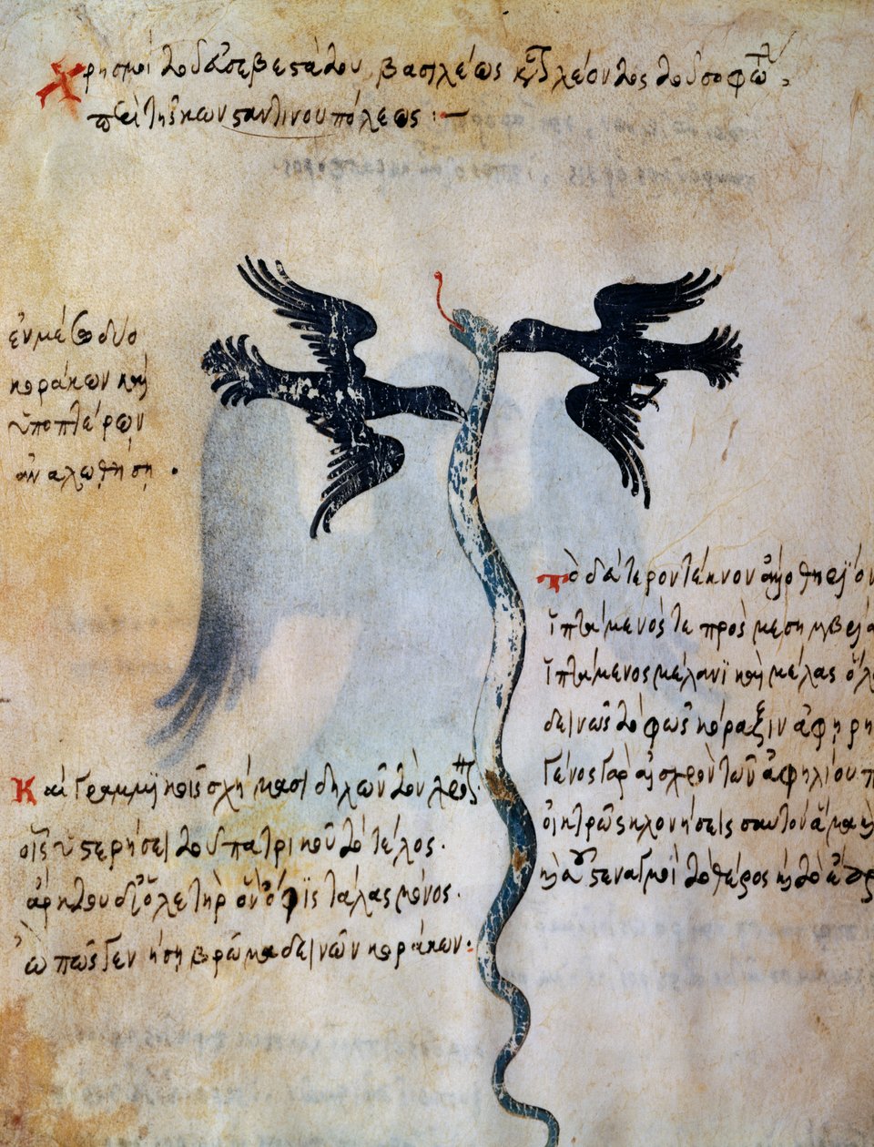 Representação de Constantinopla entre dois corvos, miniatura do Oráculo de Leo VI Wise de Greek School