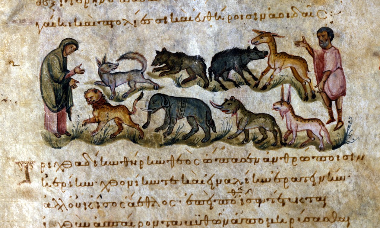Jogo: os animais que você pode caçar - em "De Venation" e por Oppianus, manuscrito grego do século XIII. de Greek School