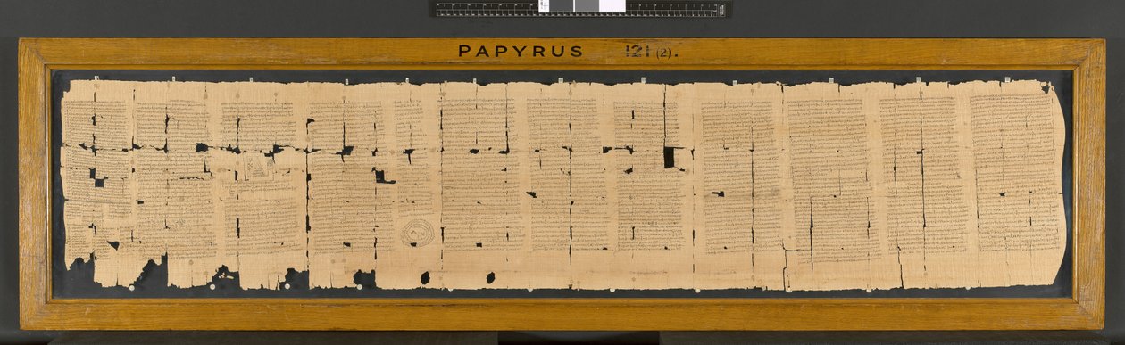 Feitiço da Íbis do Papiro 121, século III de Greek School