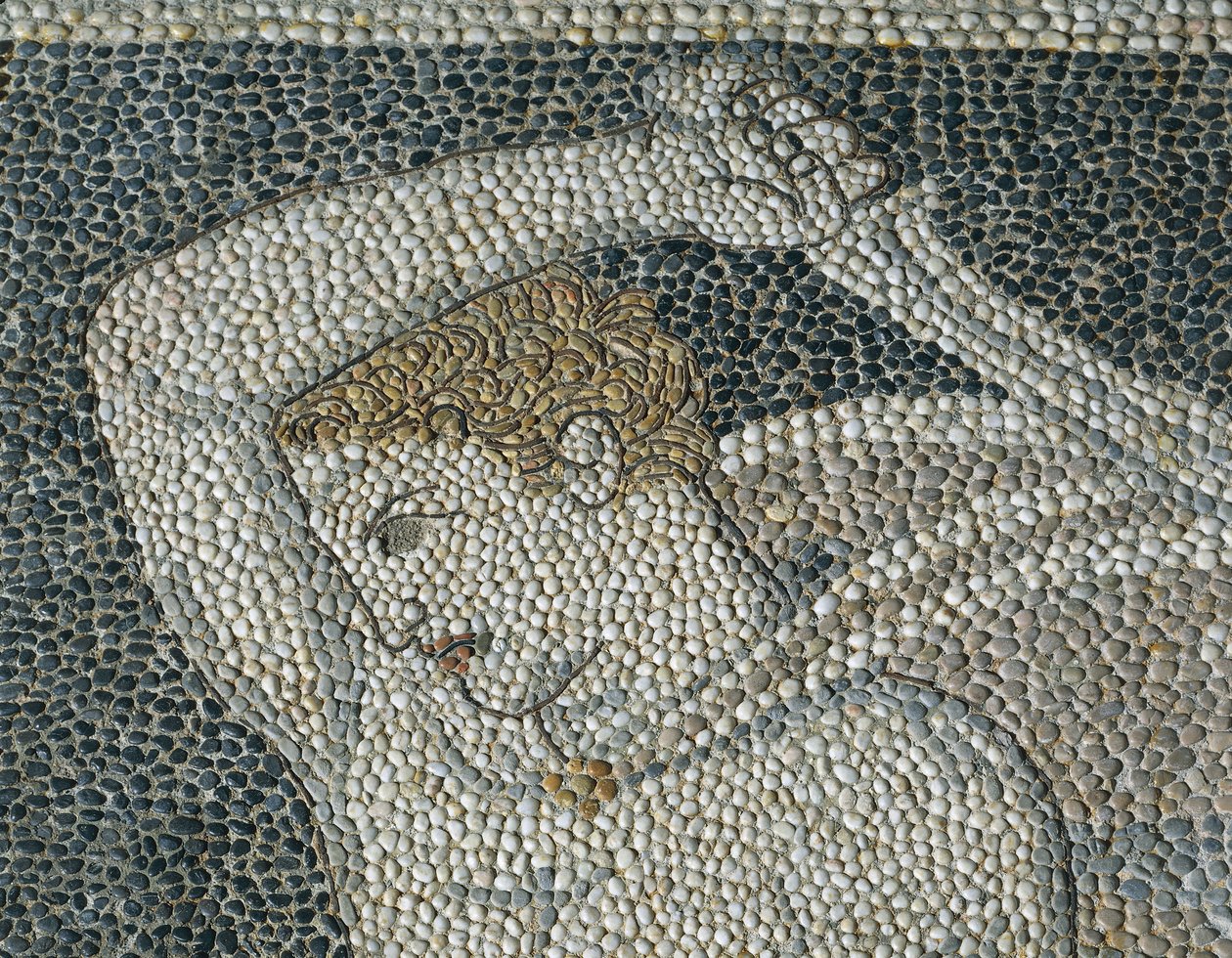 Krateros, c.320 BC (mosaico) (detalhe de 332175) de Greek School