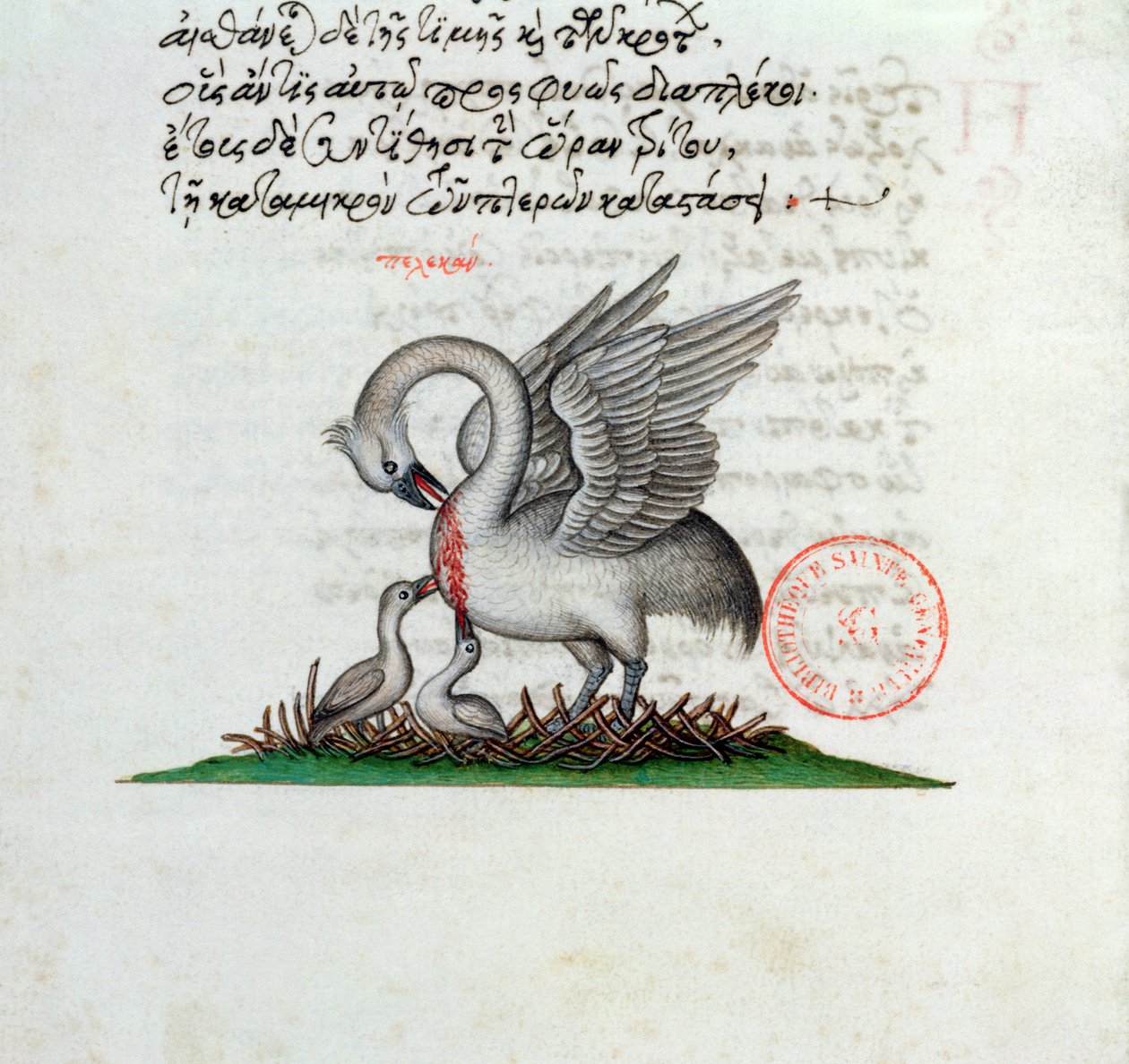 Ms 3401 Um pelicano perfurando seu peito para alimentar seus filhotes, de um bestiário de Manuel Philes, 1566 de Greek School