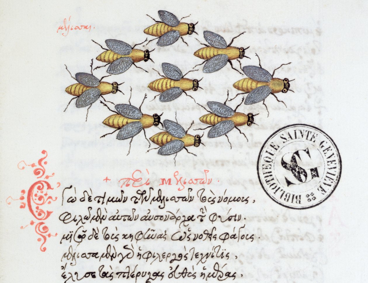 Ms 3402 Abelhas, de um bestiário por Manuel Philes, 1566 de Greek School