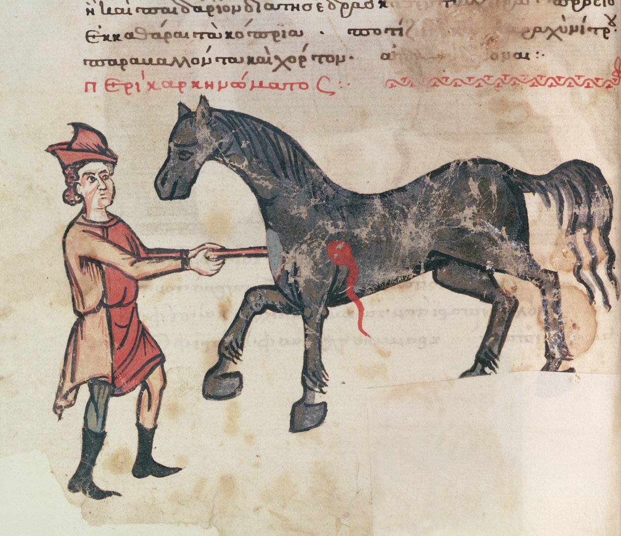 Ms Grec 2244 fol.37v Operando em um cavalo de Greek School