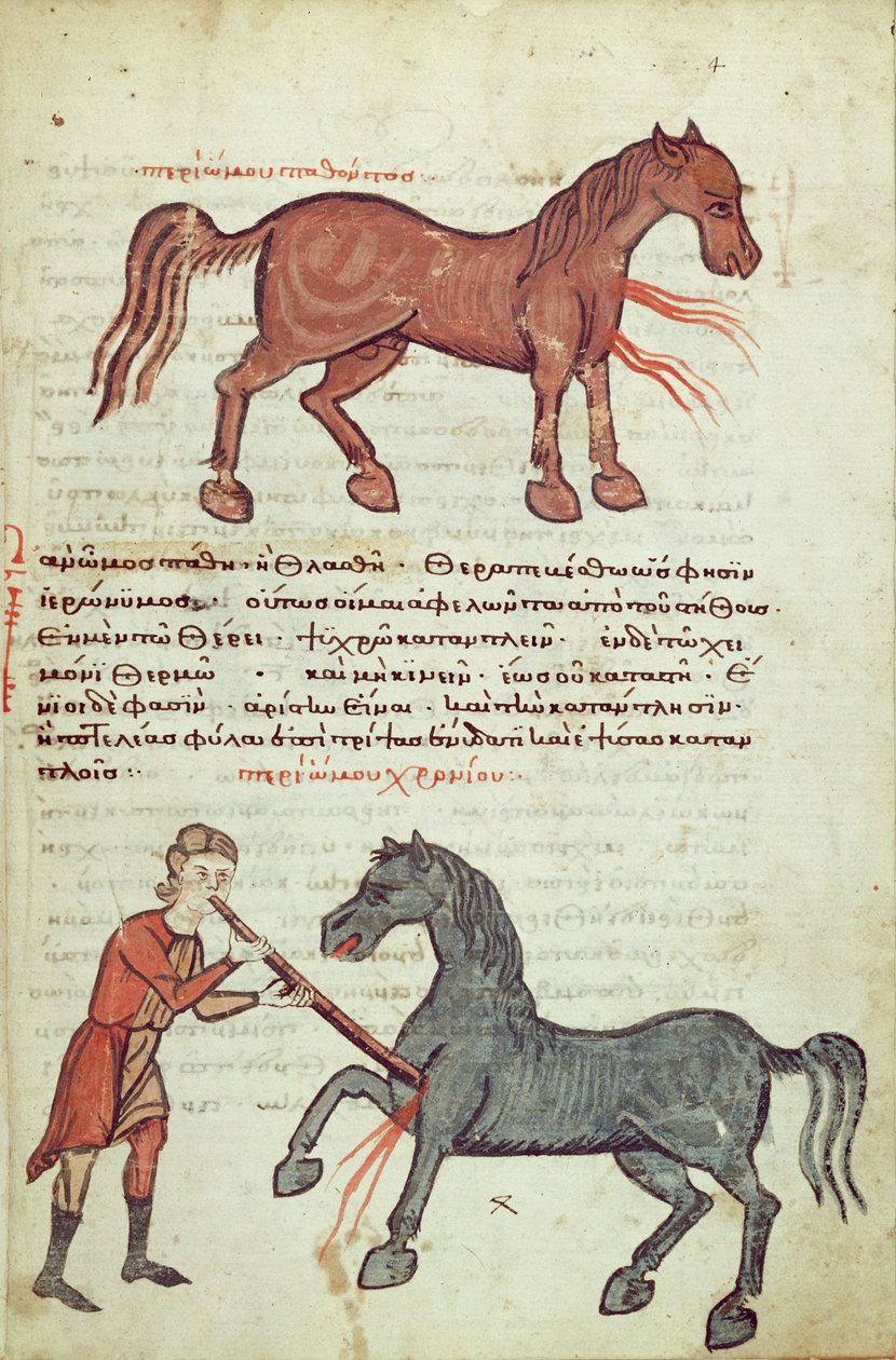 Ms Grec 2244 fol.4 Operando em um cavalo de Greek School