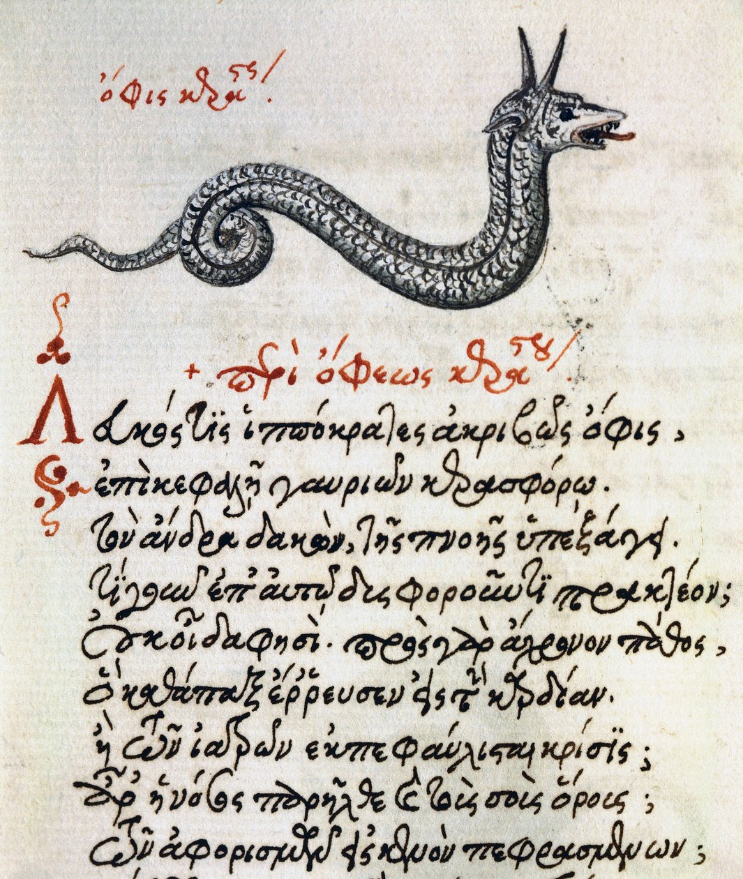 Tratado sobre Basilisco, teste e miniatura de De animalium natura et proprietate libellus, de Aelianus (Século 2-3 d.C.) de Greek School