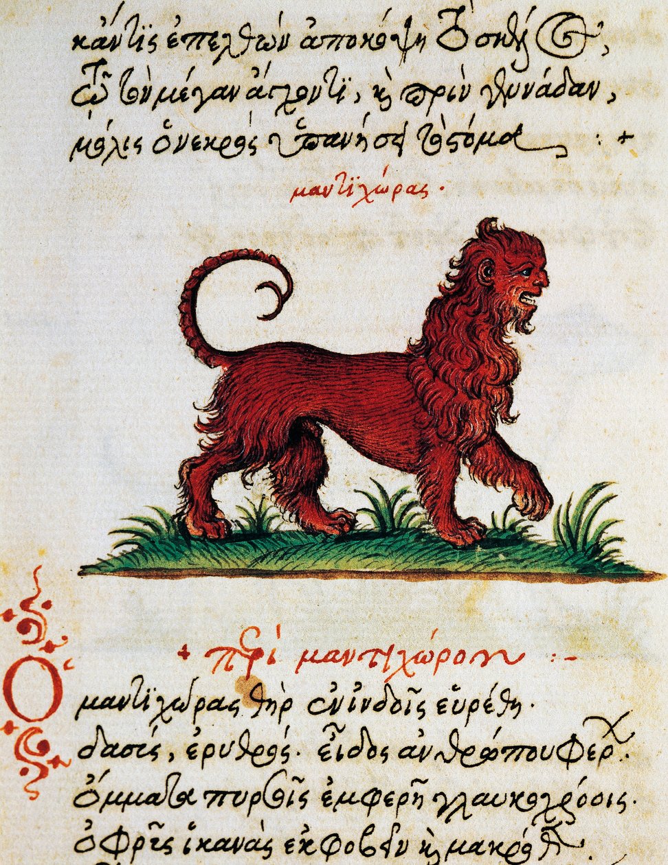 Tratado sobre Gryphon, teste e miniatura de De animalium natura et proprietate libellus, de Aelianus (Século 2-3 d.C.) de Greek School