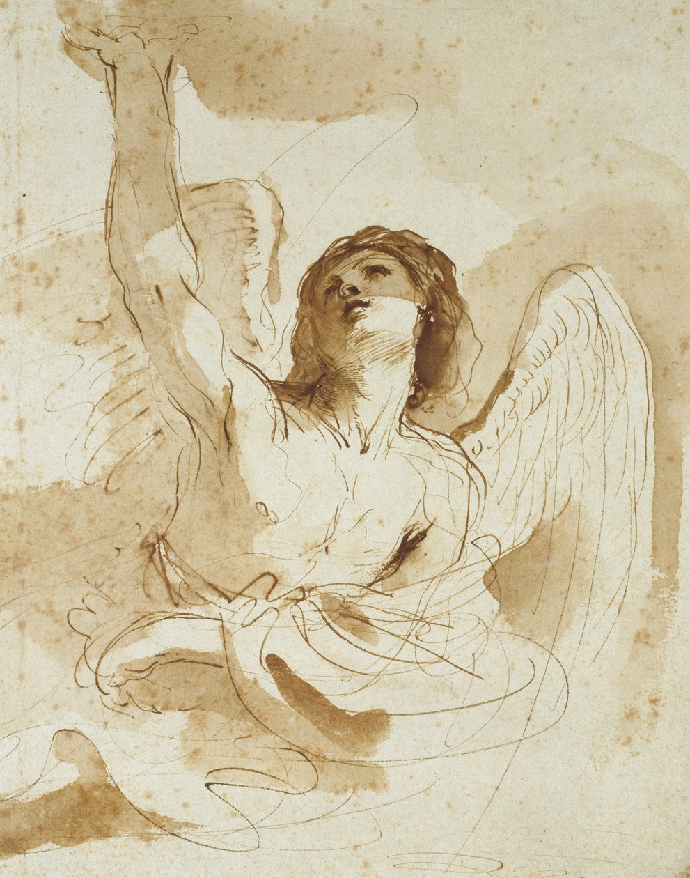 Um Anjo (caneta e tinta marrom com lavagem marrom em papel branco) de Giovanni Francesco Barbieri