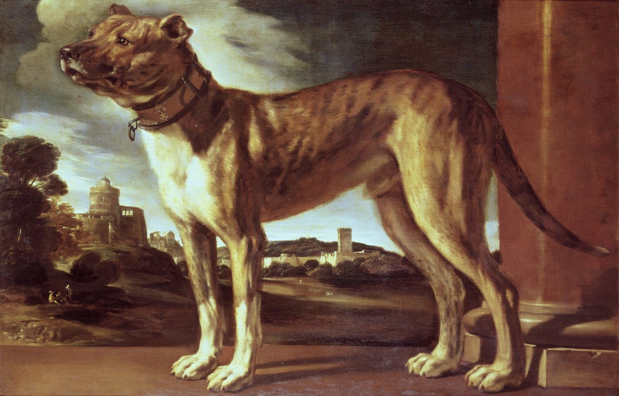 Retrato de um cão de Giovanni Francesco Barbieri