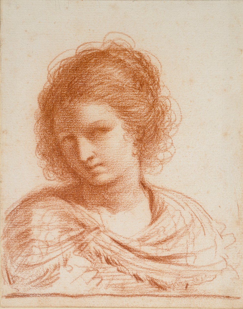 Chefe de uma Jovem Mulher, 1550-1666 de Guercino