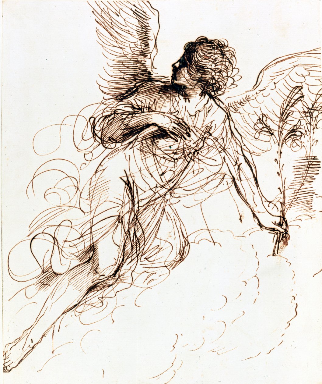 Estudo de um anjo, c1611-1666 de Guercino