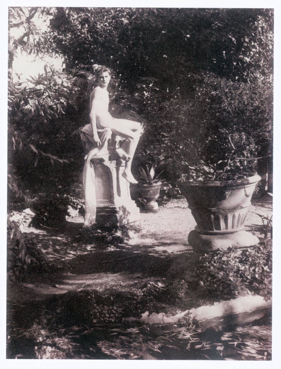 Fotógrafo (foto) de Guglielmo (1852 1930) Plüschow