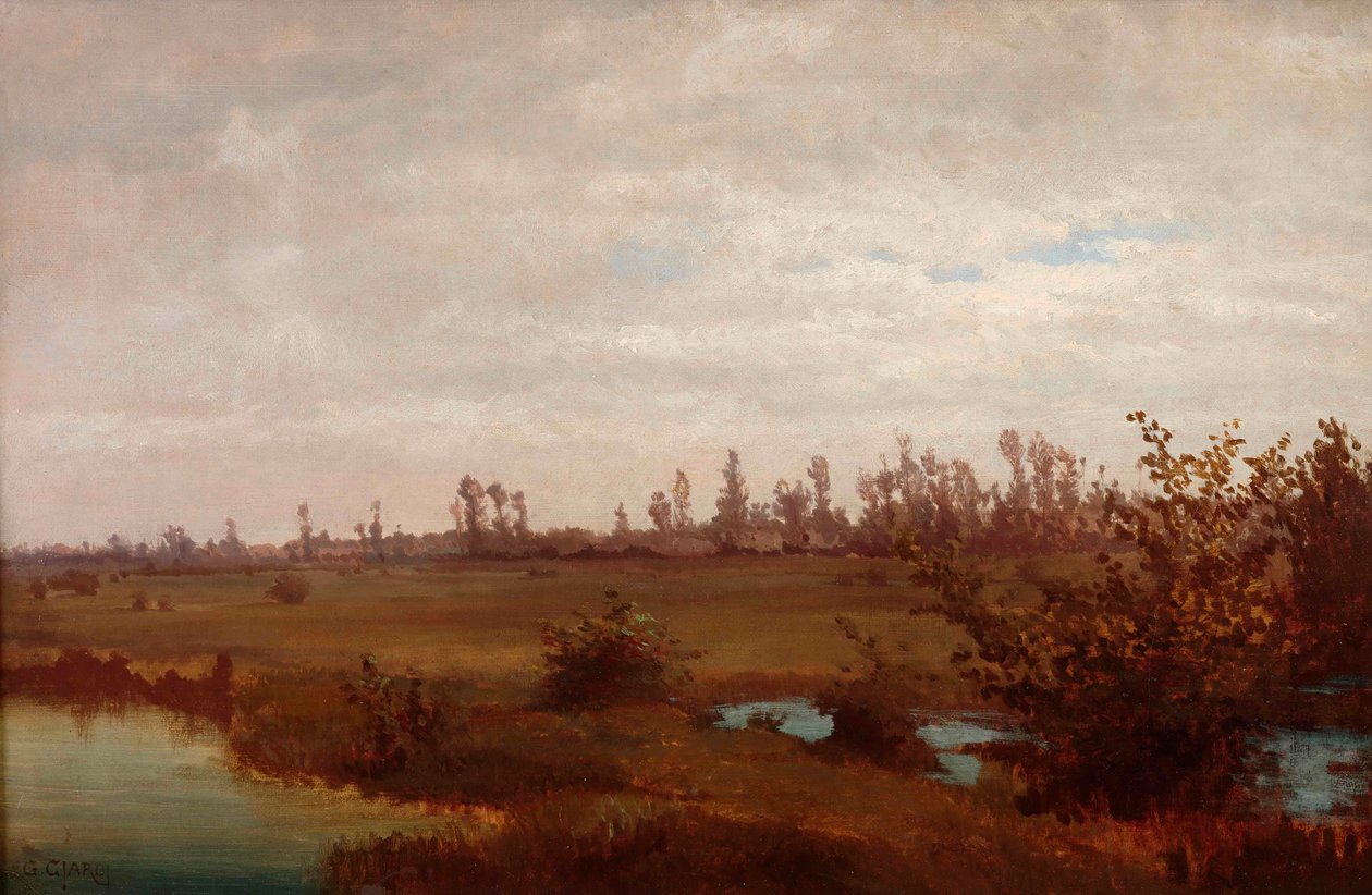 Pântanos de novembro no Sile, década de 1870. de Guglielmo Ciardi