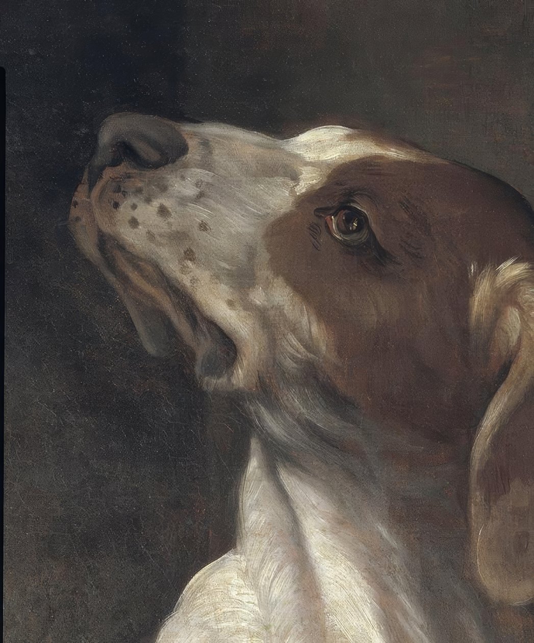 Saint Rochus na prisão, consolado por um anjo de Guido Reni