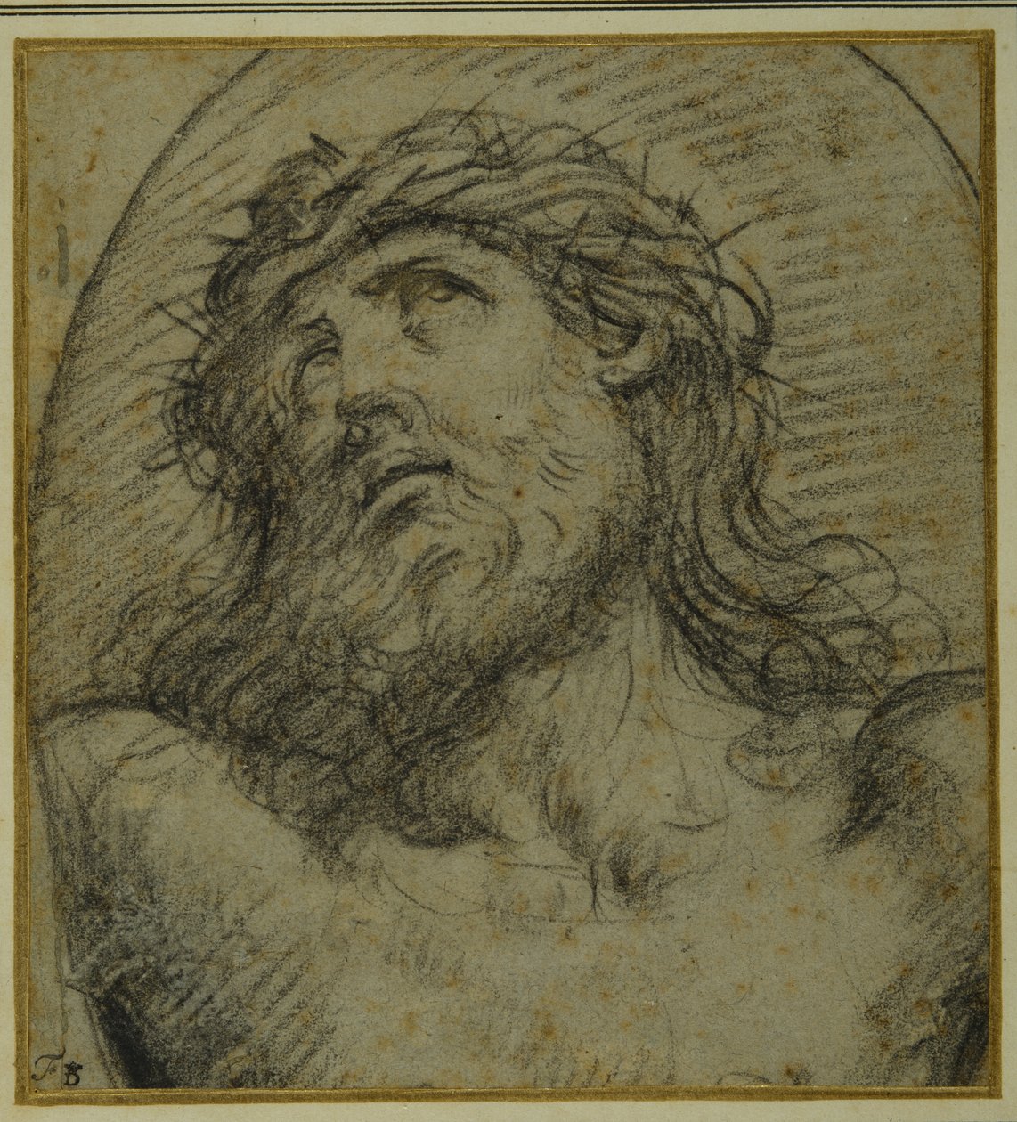Cabeça e ombros do Cristo vivo crucificado (giz preto na carta azzurra) de Guido Reni