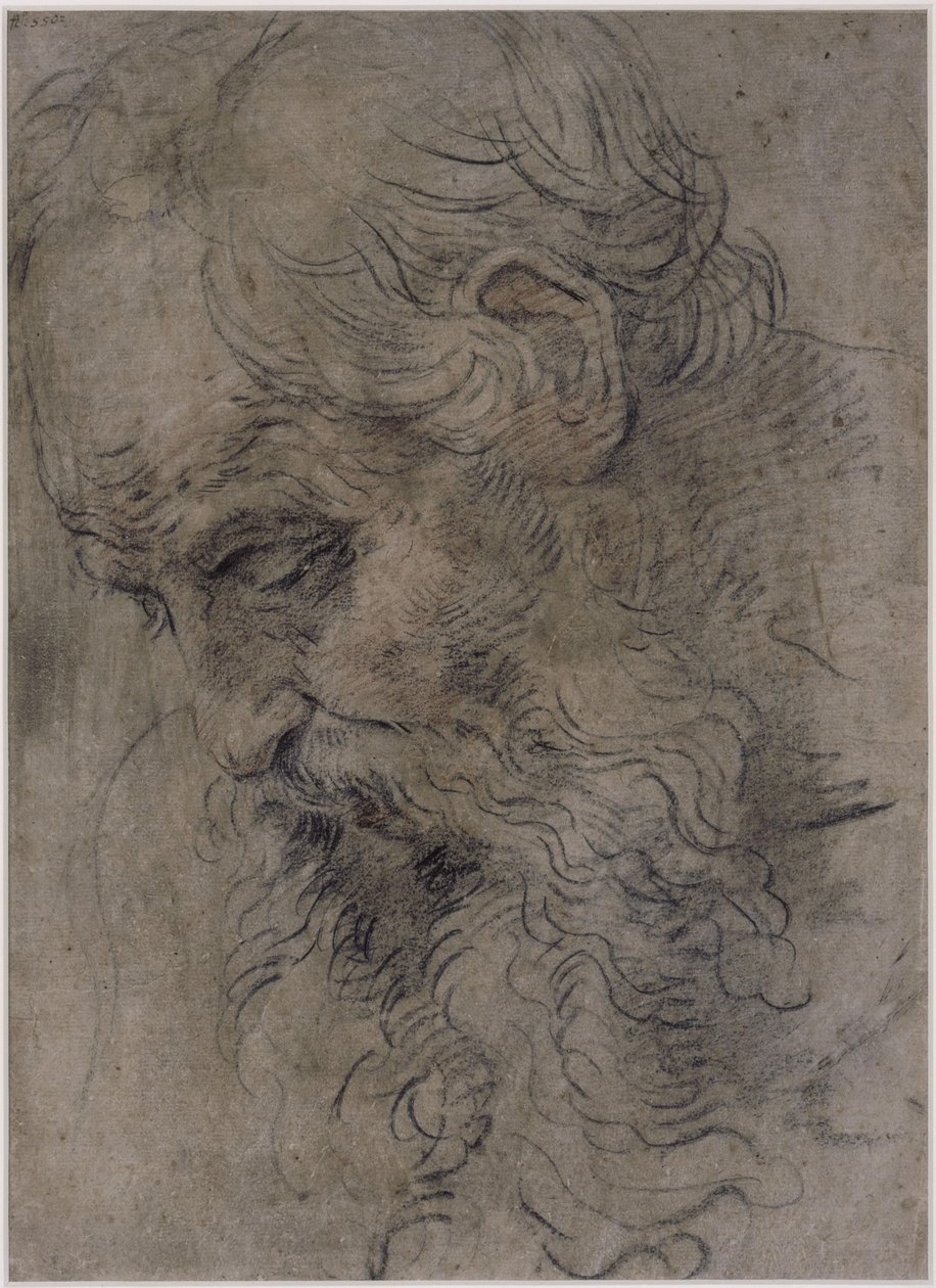 Cabeça de São Paulo Eremita de Guido Reni