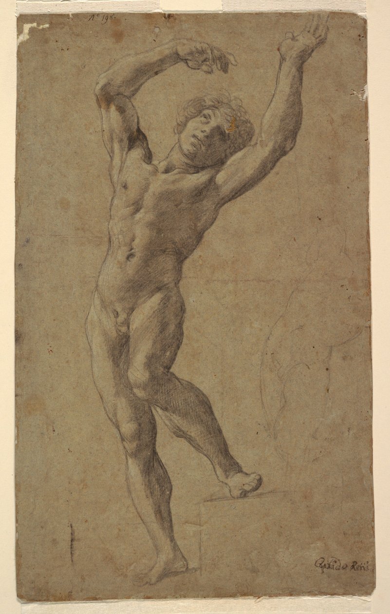Estudo para São Sebastião, Museu Pomarici Santomasi, Puglia, Itália de Guido Reni