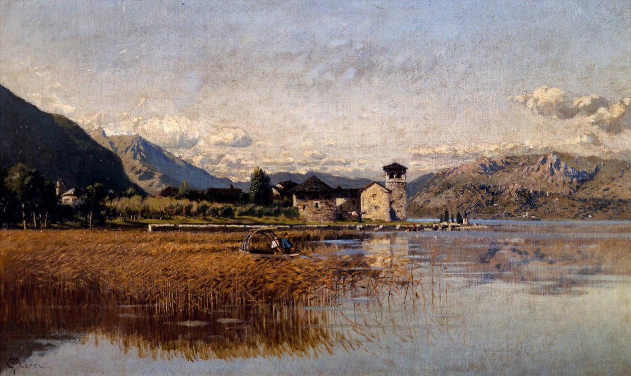 Lago Mezzola (óleo sobre tela) de Guido Ricci