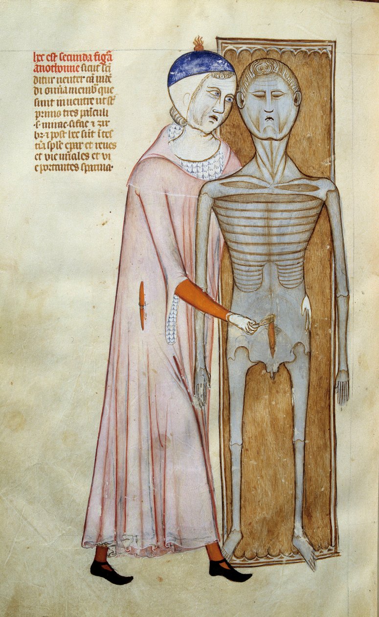 Medicina: anatomia e quadro cirúrgico representando uma cena de dissecação - Página retirada do manuscrito "Liber notabilium Philippi septimi francorum regis, a libris Galieni extractus" de Gui de Pavie de Guido da Vigevano da Pavia