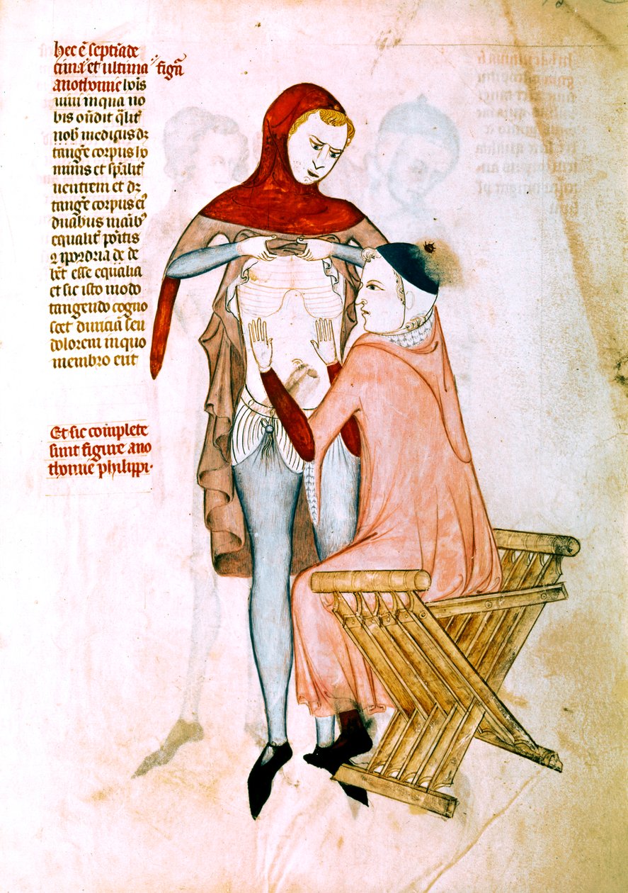 Médico a examinar o doente (miniatura) de Guido da Vigevano da Pavia