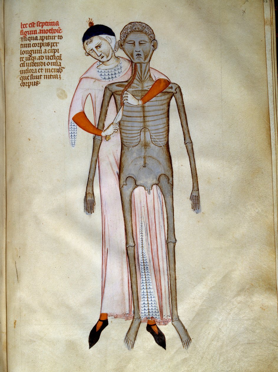 Cirurgia: Dissecção do tórax. Miniatura em "Liber notabilium Philippi septimi francorum regis, a libris Galieni extractus" escrito por Gui (Guy) de Pavia de Guido da Vigevano da Pavia