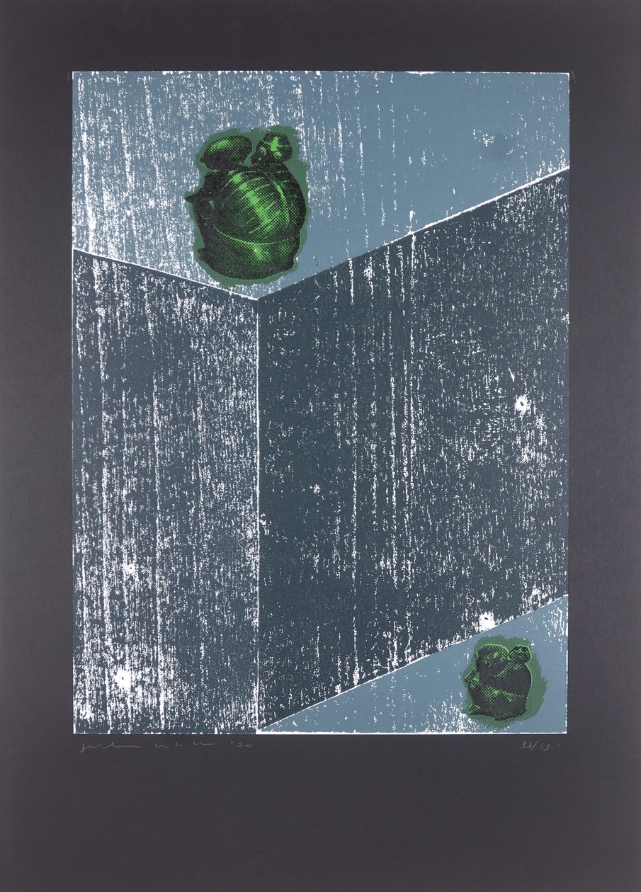 Quarto Invisível nº8, O Sonho da Minha Alma, 2019 (xilogravura e serigrafia) de Guilherme Pontes